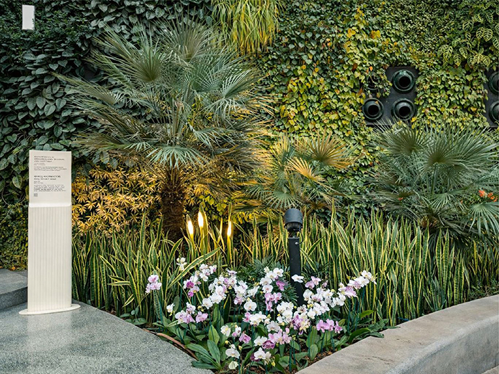 PowerPoint Presentation