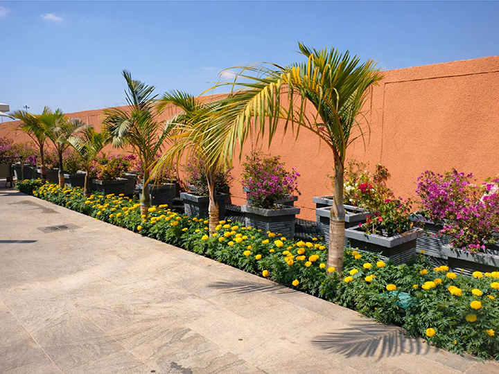 PowerPoint Presentation