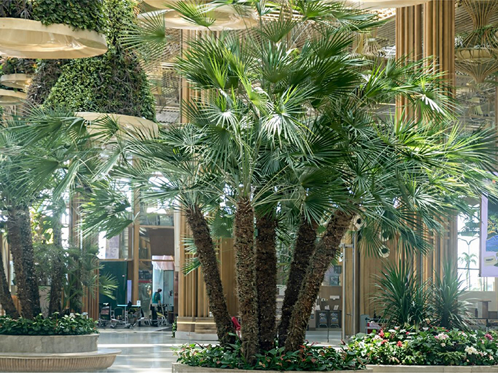 PowerPoint Presentation