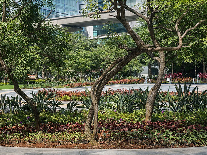 PowerPoint Presentation