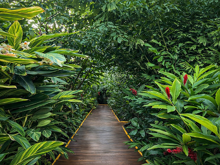 PowerPoint Presentation